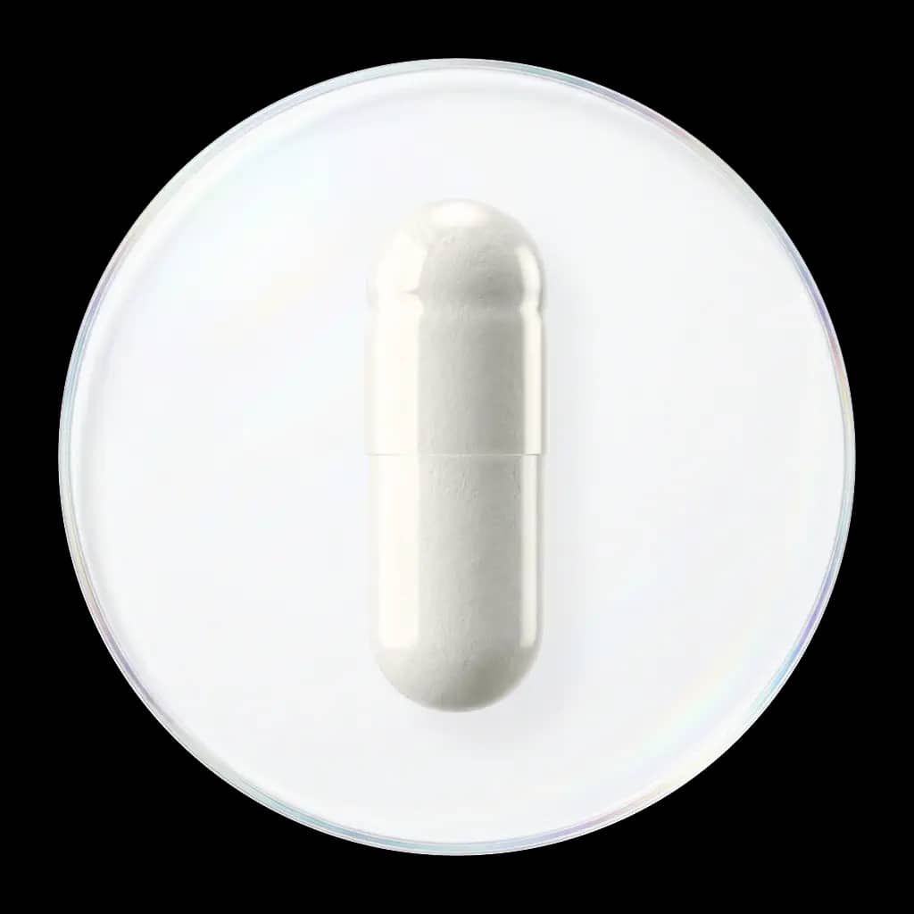 GABA