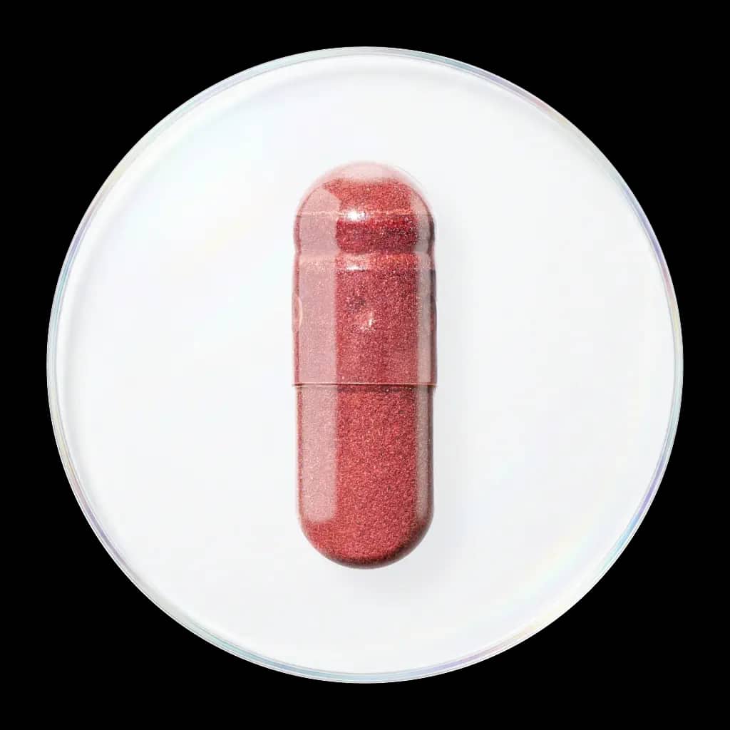 Grape Seed